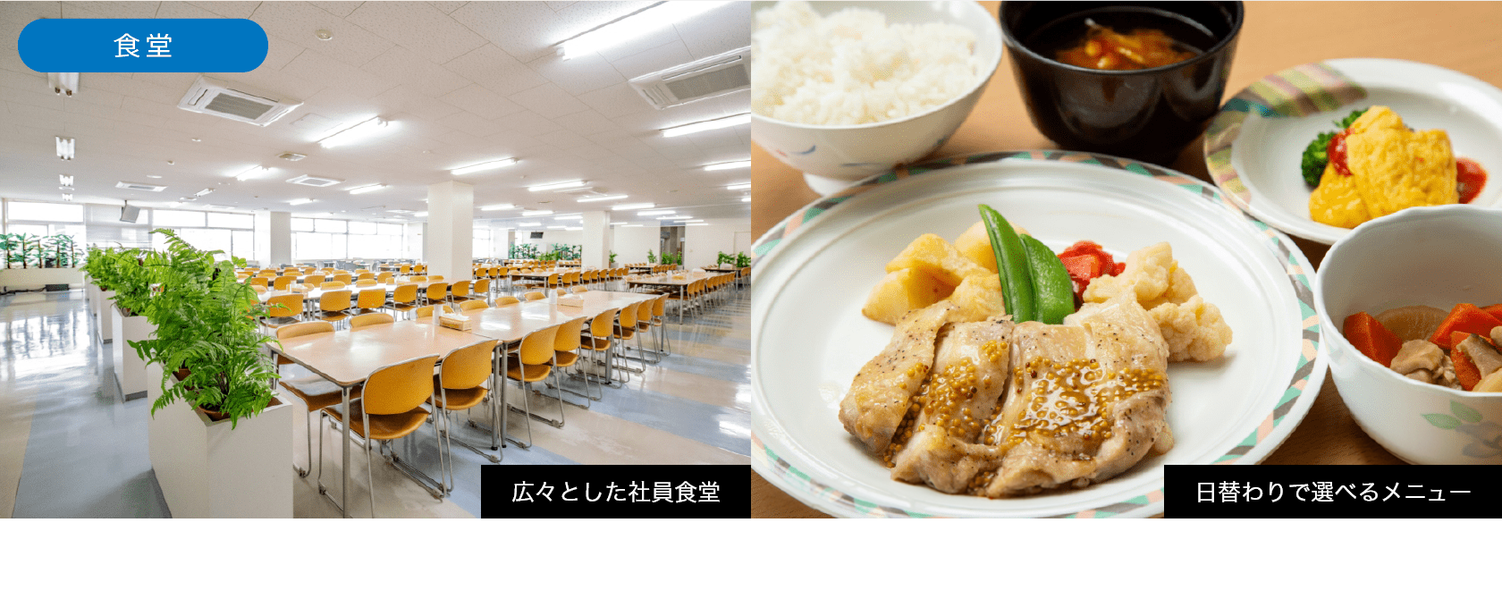広々とした社員食堂 日替わりで選べるメニュー